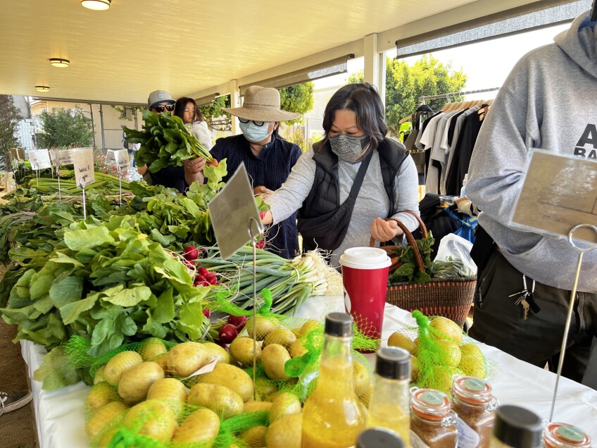  alma backyard farms photos, march 2022 - ALMA Backyard Farms offers green onions, radishes, potatoes, broccoli, and carrots.