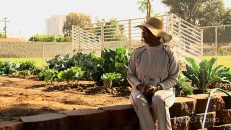 Mildred Johnson - On Sustainability