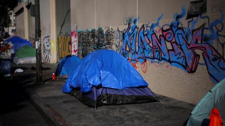 News Wrap: Trump urges cities to clear homeless from streets
