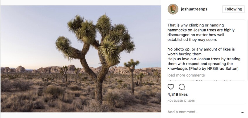 Joshua Tree National PArk's Instagram account explains about hammocks | Image: via Instagram