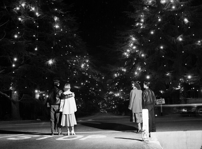 Christmas Tree Lane in 1953. Courtesy of the USC Libraries - Los Angeles Examiner Collection.