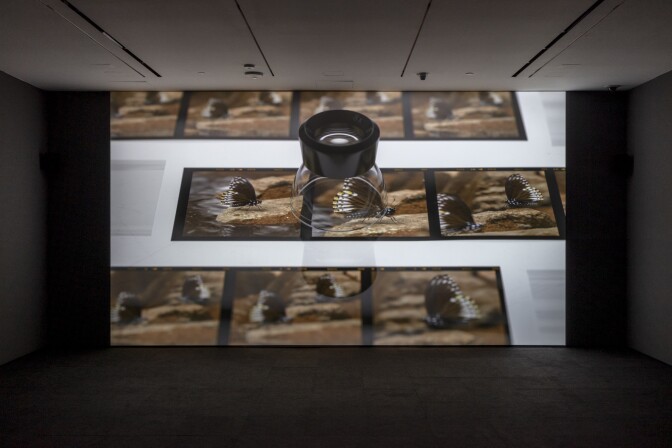 An installation view of Jeffrey Stuker's work at "Made in L.A. 2020: a version." at Hammer Museum, Los Angeles. | Joshua White / JWPictures.com.