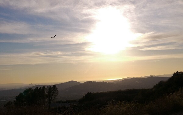 Downtown and ocean views from the Sunset Ridge Trail by Millard Canyon. Photo by Yosuke Kitazawa | KCET