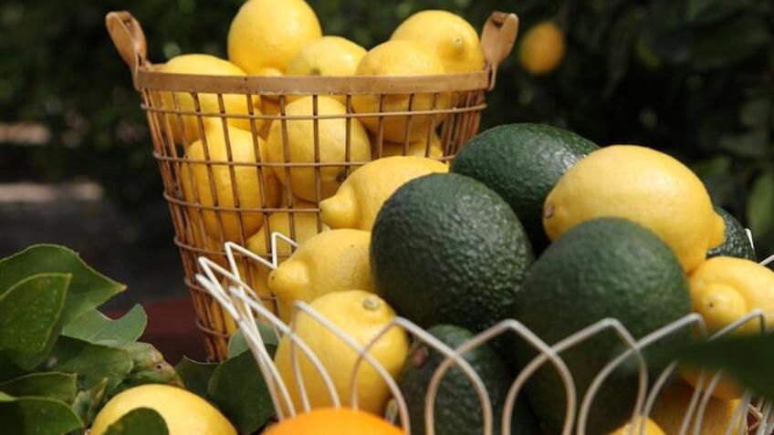 Baskets of lemons and avocados.