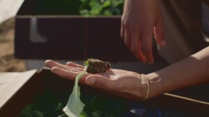 R'garden Still: UCR Community Garden