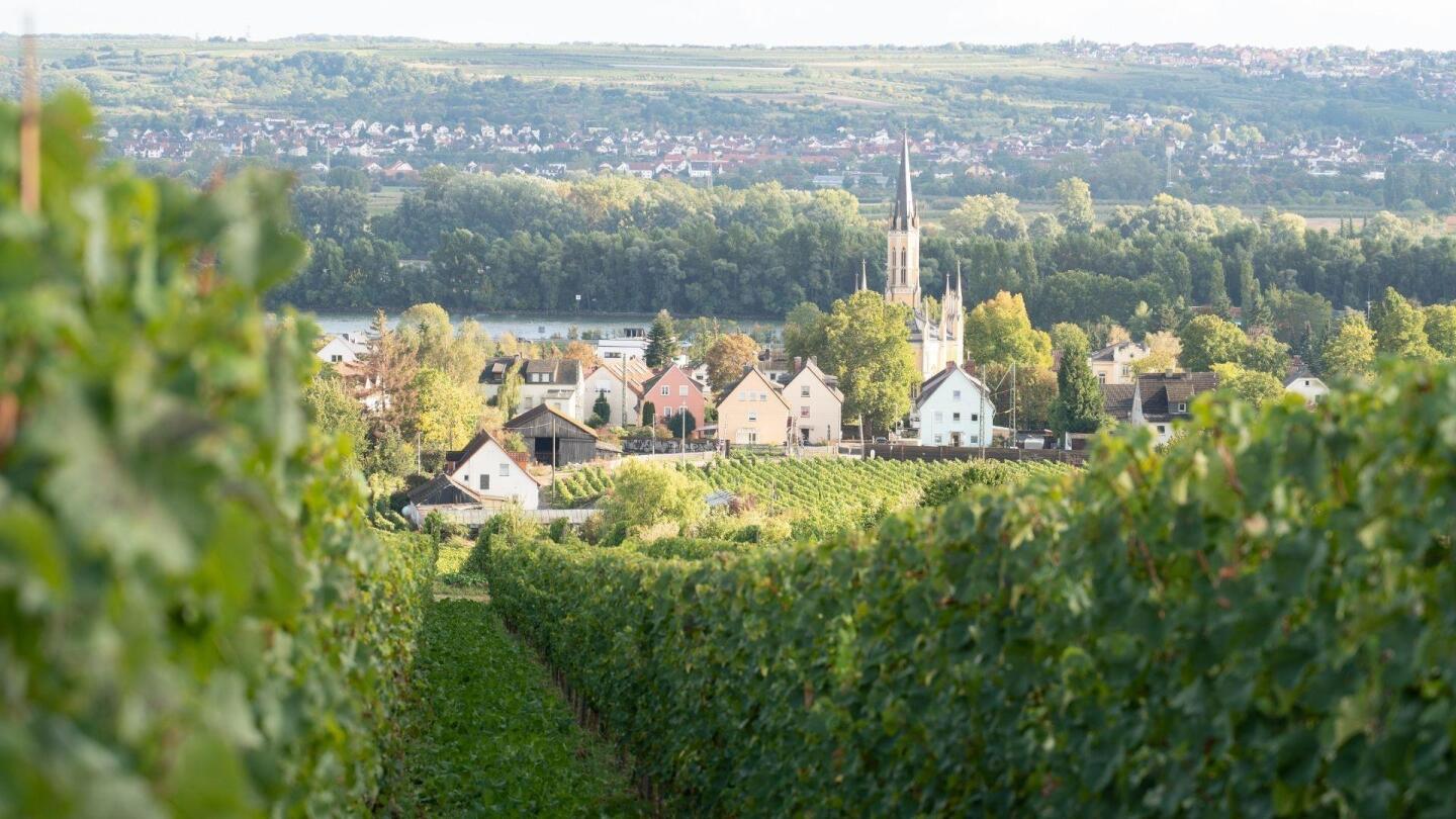 Mosel Valley