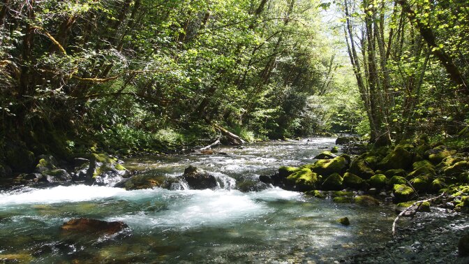six rivers national forest