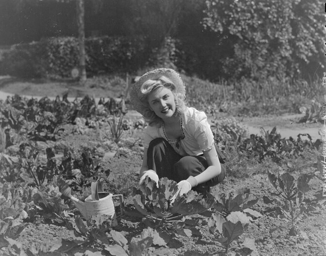 A woman with a straw hat in a garden.