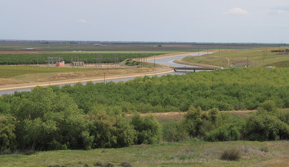 Agriculture along the Delta Waterway