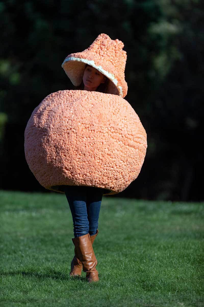The Ojai Pixie Tangerine performs as part of the"The Food Group" by Ry Rocklen at Current:LA Food in Palms Park | Courtesy of the Department of Cultural Affairs