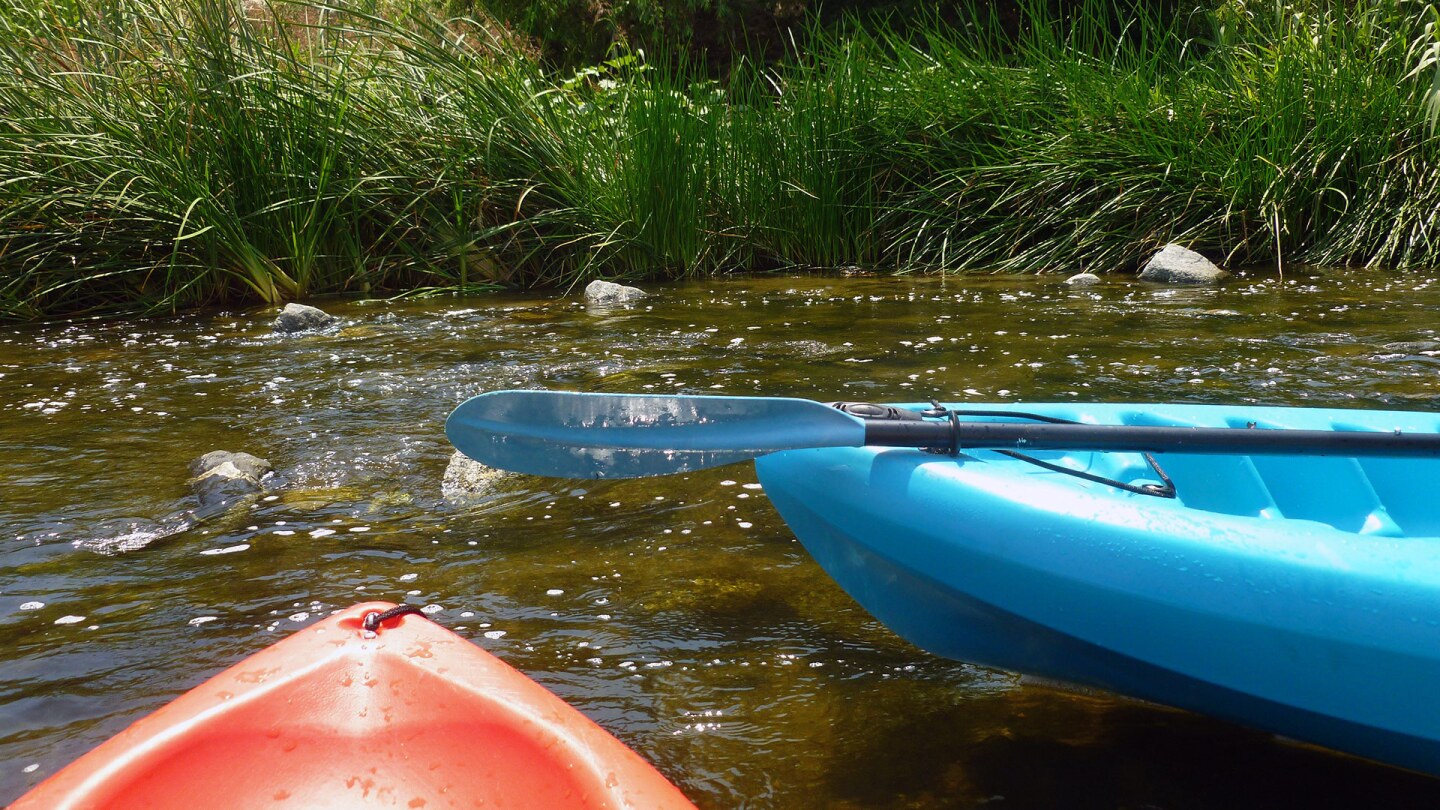 Paddling through the watery “trails” at Glendale Narrows. | Sandi Hemmerlein