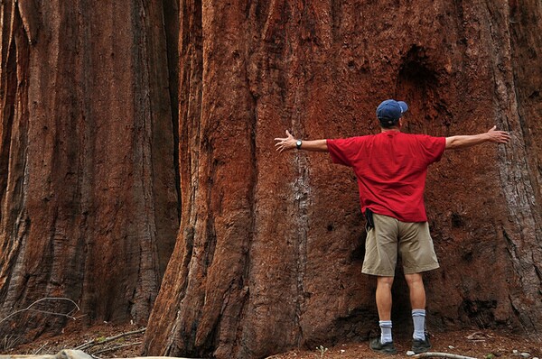 california-in-2064-7-31-14-thumb-600x398-78422