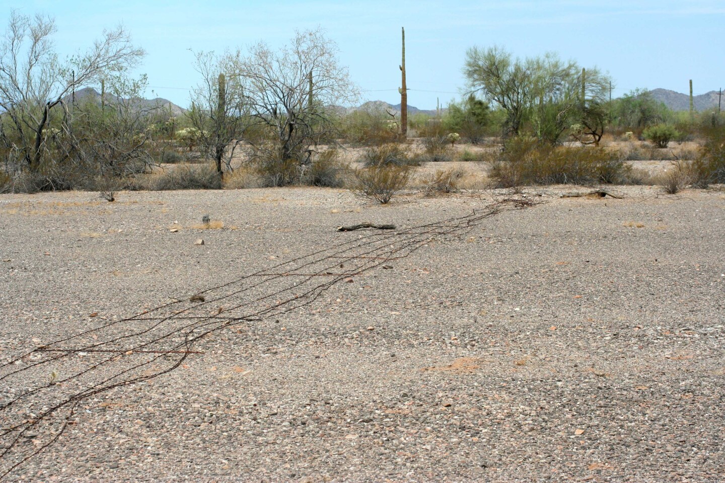 cabeza-prieta-border-fence-5-10-16.jpg