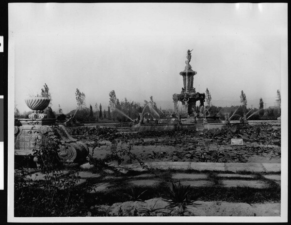 Fountain in Valhalla Cemetery, overgrown with lily-pads | California Historical Society Collection, USC Digital Library