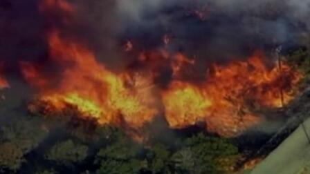 Worst Drought in Texas History Ravages Crops, Livestock