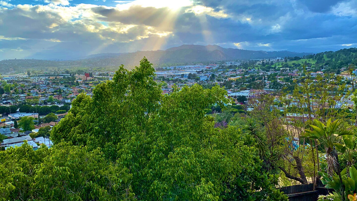 The sun peeks through clouds to shine on a lush, green tree.