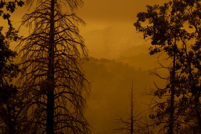 Smoke blankets an area where hundreds of thousands of trees have been killed by years of drought and beetles as the Windy Fire continues to grow on September 26, 2021 south of California Hot Springs, California.