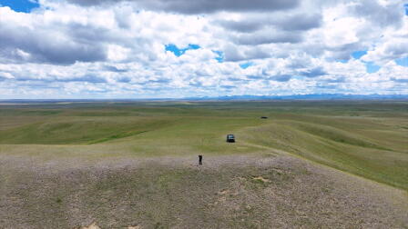 Montana Grasslands Restoration