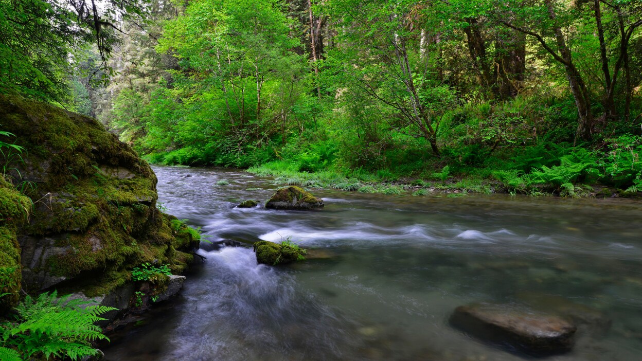 Mill Creek