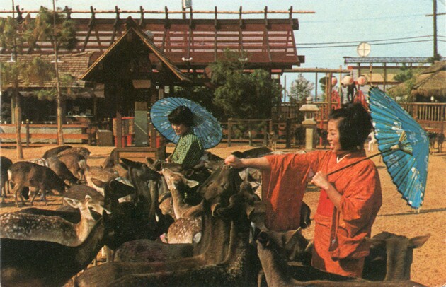 deerpark05.jpg