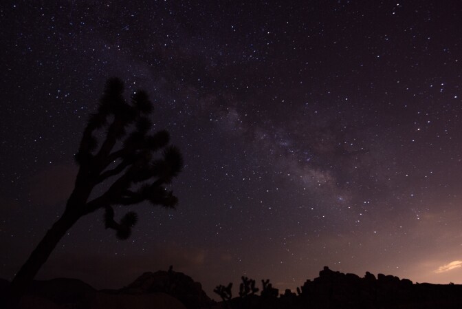 Night sky at Joshua Tree
