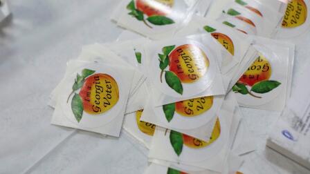 Georgia lawmakers pass more voting rules ahead of election