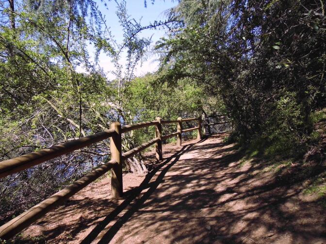 A heavily shaded unpaved trail snakes along a simple wood fence/barrier. Thick trees line the right of the trail while parts of the lake can be seen through the branches to the left of the trail.