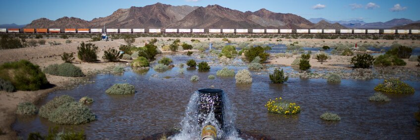 A percolating pond tests the permeability of water on Cadiz, Inc.'s property in Cadiz, CA. | Jenna Schoenefeld for The Washington Post via Getty Images