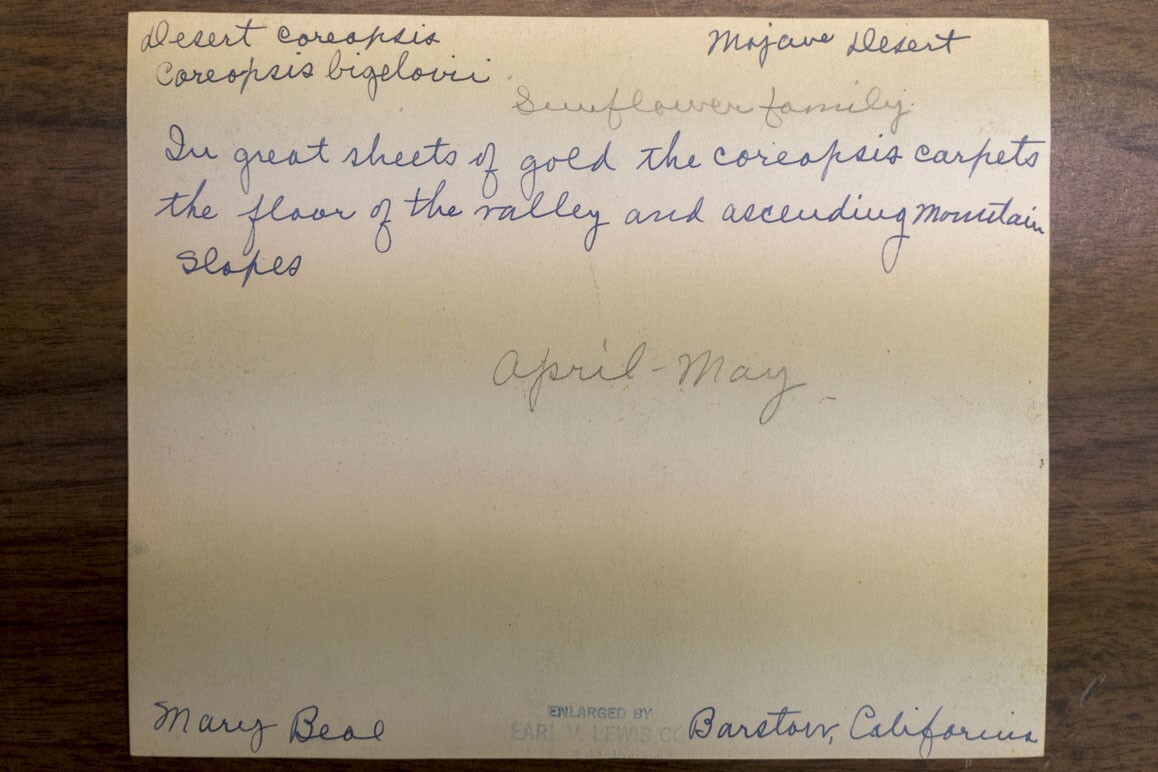 Hand-colored photo with a note by botanist Mary Beal