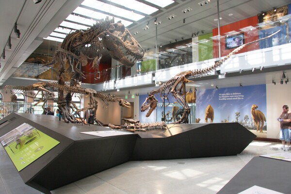 MoreTrex_600