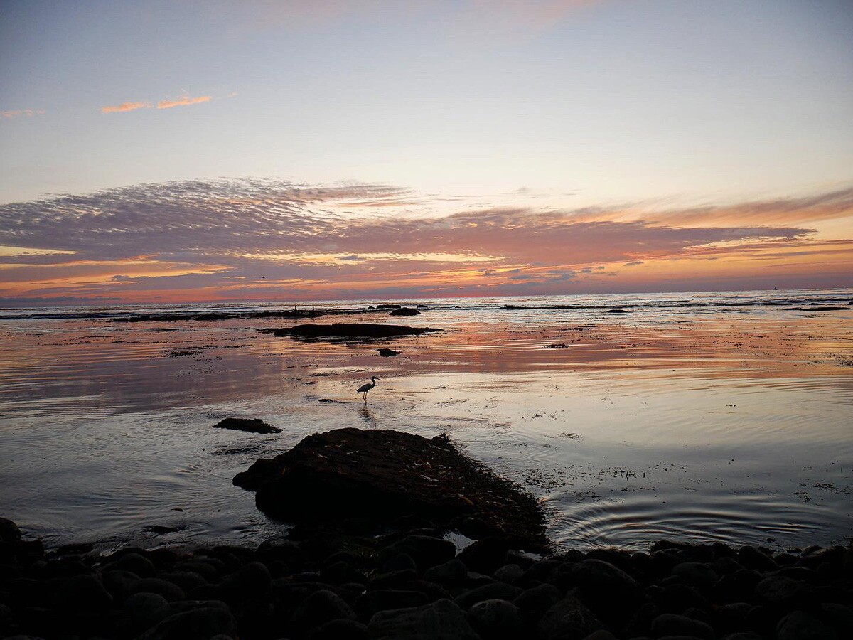 “This photo of a white heron at sunset was taken at Lunada Bay, which is my ultimate getaway in L.A. It’s a bit of a hike down the side of a cliff, but it’s worth it! There’s a cove, tidepools and it’s my favorite place in the city by far.” | Joshua Elizondo