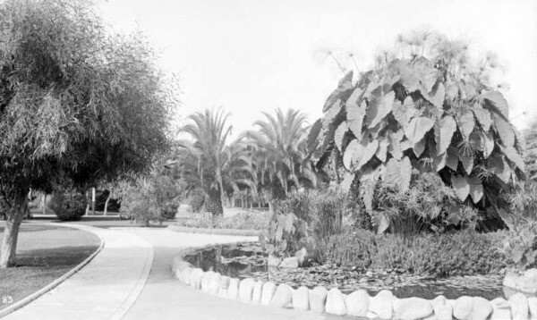 St. James Park in 1899. Courtesy of the USC Libraries - California Historical Society Collection.