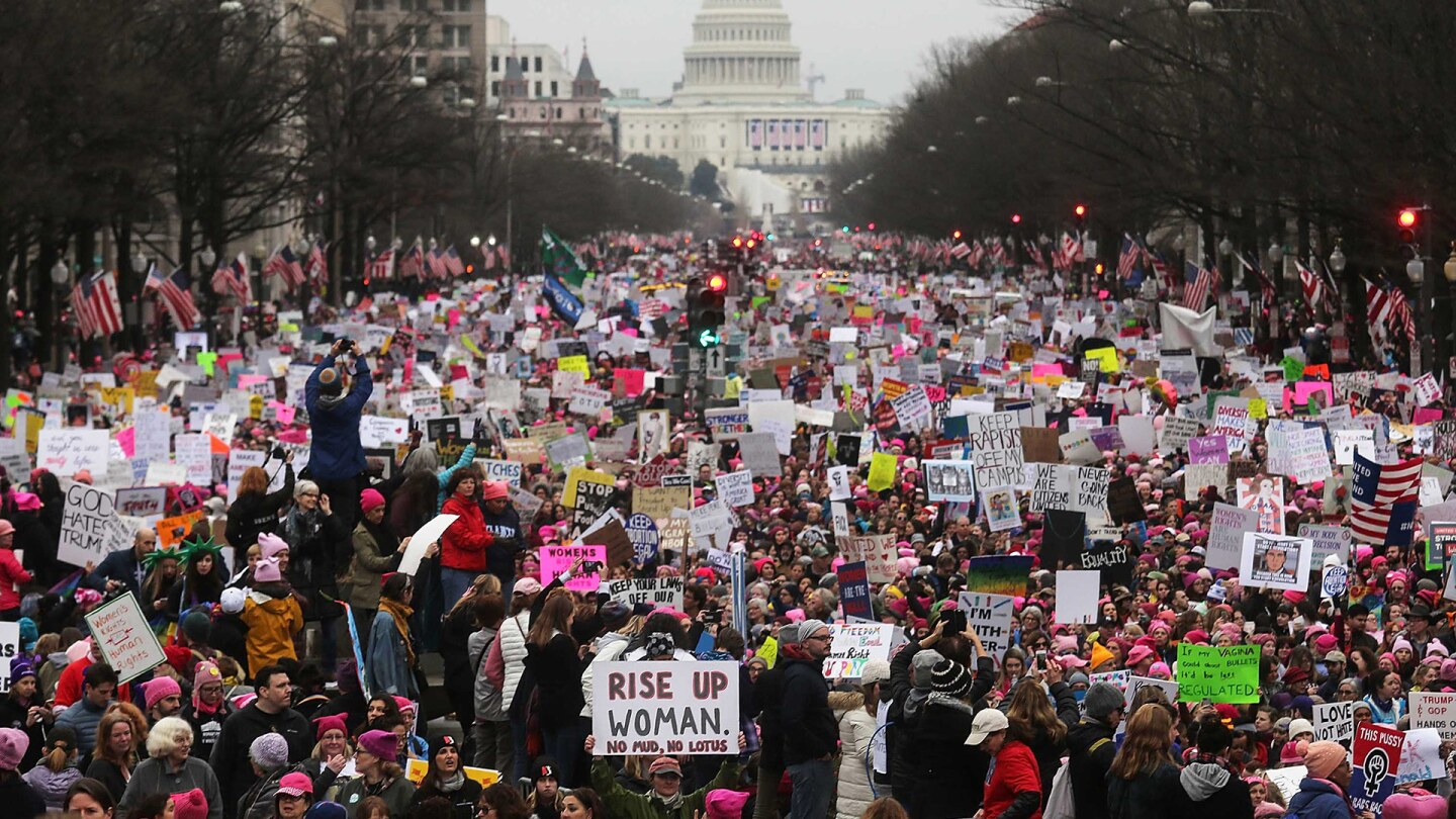 Womens March - Washington DC - 2017