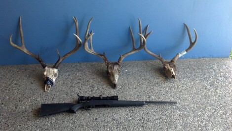 deer-rack-12-18-14-thumb-630x356-85605