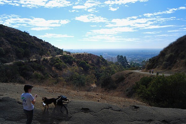 runyon-canyon-parking