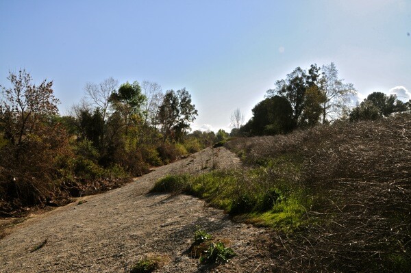 lariver-exc-sepulveda03