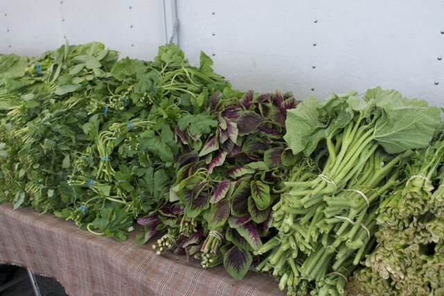 Even with the absurd heat we've been getting, spring greens are gorgeous and abundant