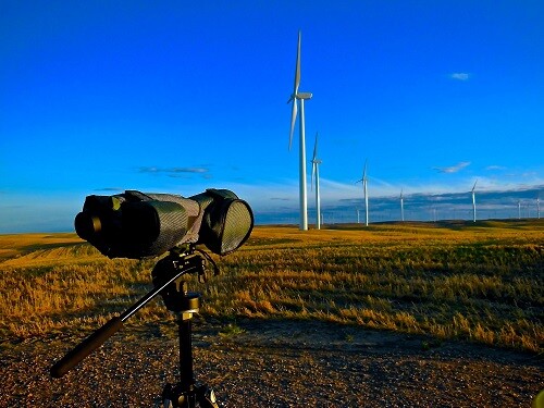 20131106.RRSpotting.Turbines-thumb-600x450-66331