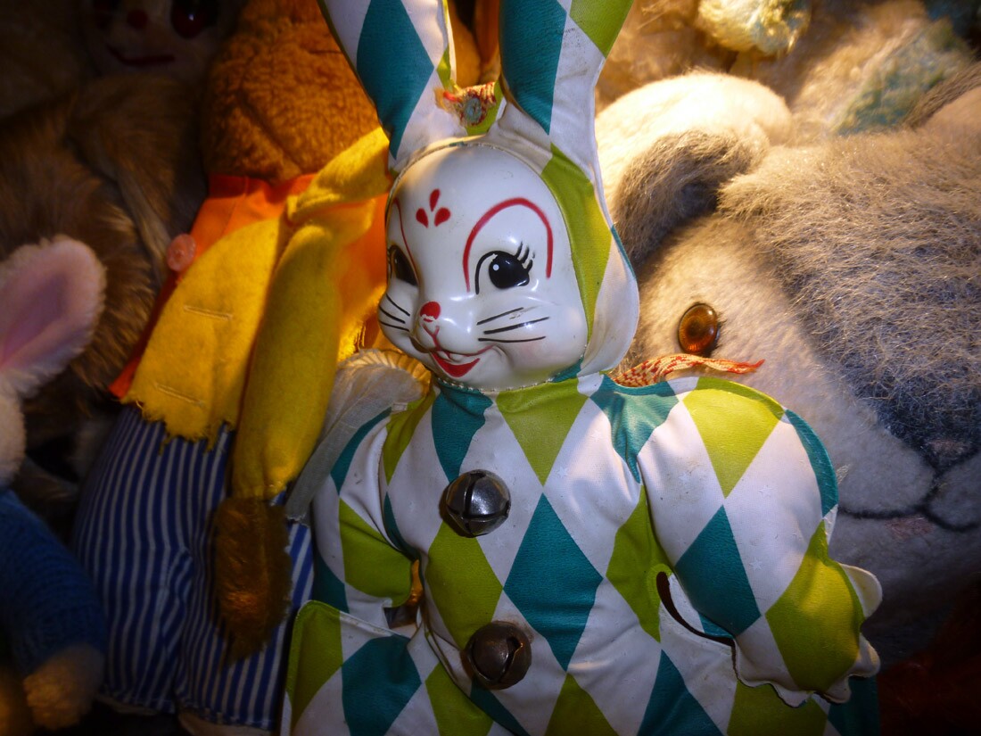 The Bunny Museum (1)