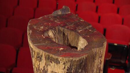 Bonus Video: Apollo Theater Tree of Hope