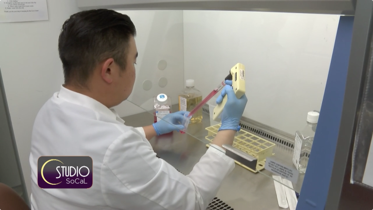 T-Cell Immunotherapy New Cancer Research