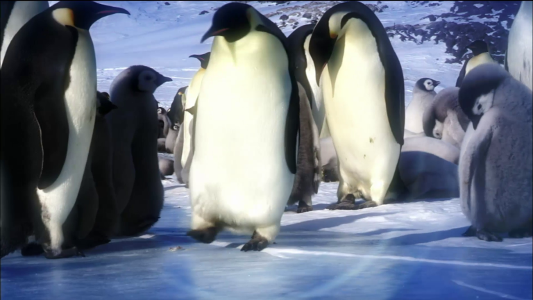 9/25: Bridges, Homeless Veterans, Penguins, Tony Bennett