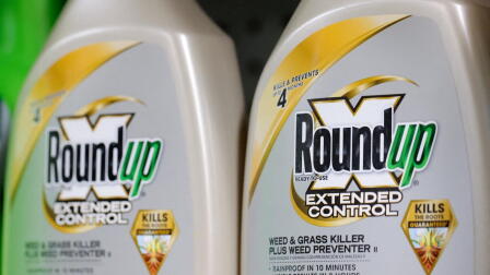 What science tells us about the health risks of Roundup