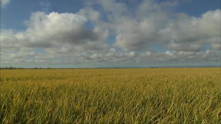 America's Heartland Season 19