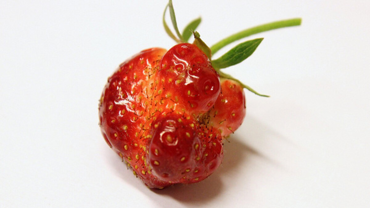 California Start-Up Rescues 'Imperfect' Produce to Bring Farm-Fresh ...