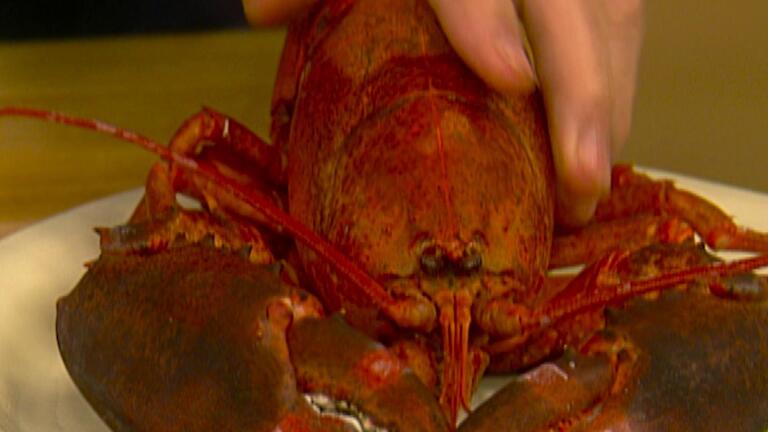 Cooking Under Pressure