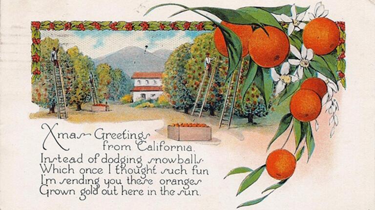 David Boulé and the California Orange
