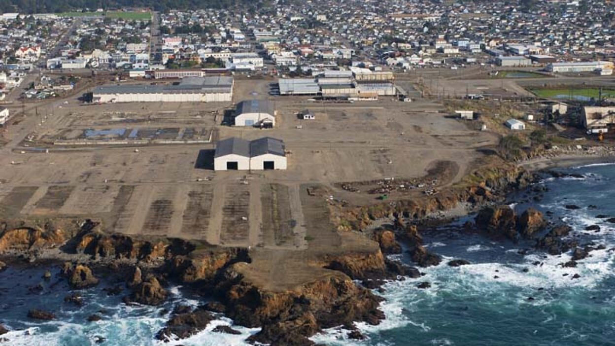 georgia pacific site