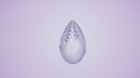 How the Smallest Animal Got So Simple