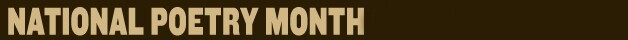 npmcalendar_border